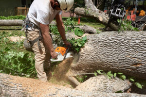 Arborists